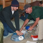 Two Rescuers do CPR and AED